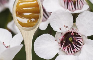 Manuka flower with honey