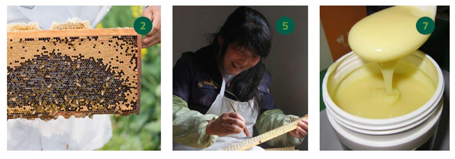 How is royal jelly made? How to guarantee its quality? HoneyGreen+